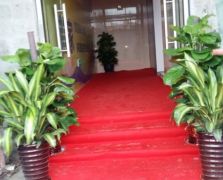 房地產(chǎn)活動策劃